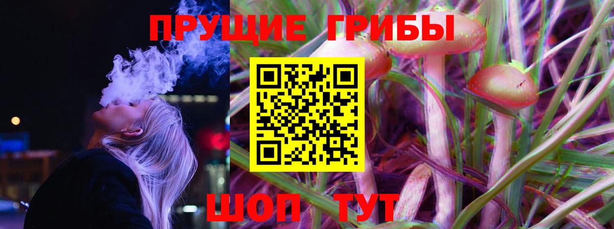 где купить наркоту  Галлюциногенные грибы MAGIC MUSHROOMS  Вход с VPN  Псилоцибиновые грибы Cubensis  Белая Калитва 