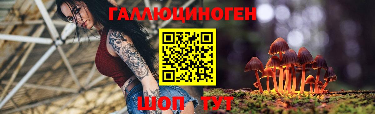 Псилоцибиновые грибы мицелий Белая Калитва